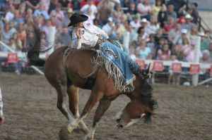 Rodeo